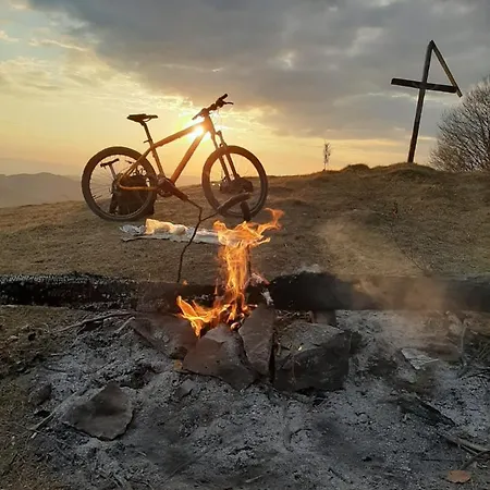 Bauernhof Pajisti Verzi / Meadows Vişeu de Sus