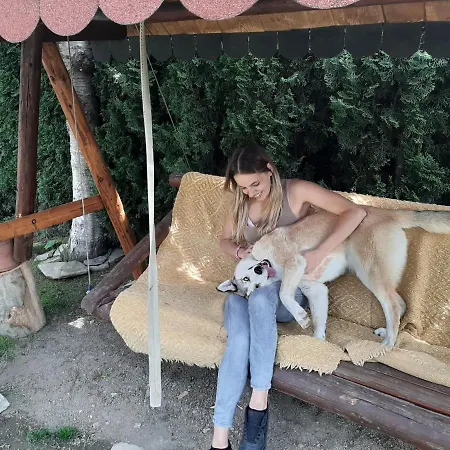 Pajisti Verzi / Meadows *