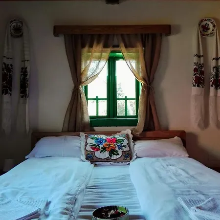 Farm stay Pajisti Verzi / Meadows Viseu de Sus