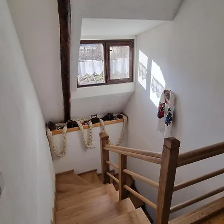 Bauernhof Pajisti Verzi / Meadows