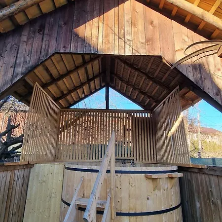 Farm stay Pajisti Verzi / Meadows Viseu de Sus