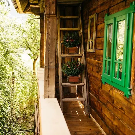 Farm stay Pajisti Verzi / Meadows