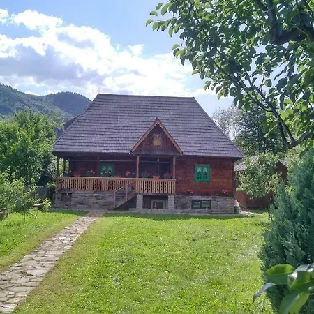 Pajisti Verzi / Meadows Vişeu de Sus